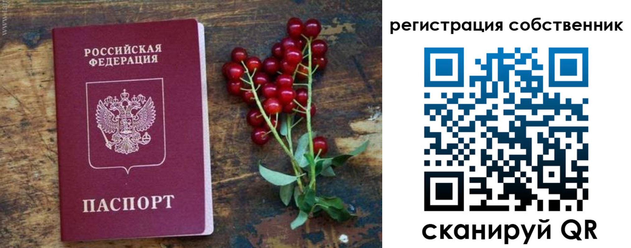 регистрация для дет. сада в Искитиме